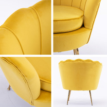 2 Piece Shanaya Velvet Armchair & Ottoman Set